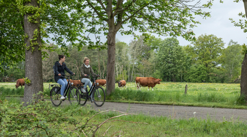 Fietsverhuur Merodefietsen