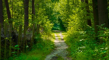 Landschapspark de Merode