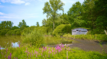 Natuurgebieden