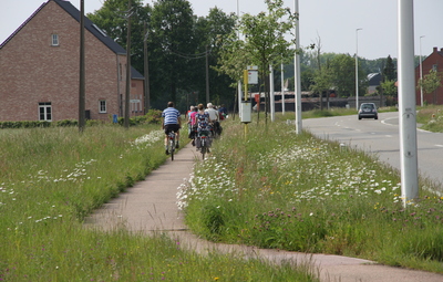 Fietsroute: Tussen bloemen en zweefvliegen