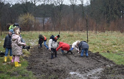 Leerlingen van GBS Eindhout leggen voedselbos aan