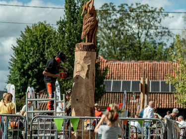 janagrafie - 00838