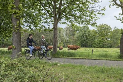 Fietsverhuur Laakdal