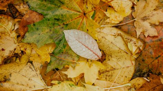 vallende balderen sfeerbeeld