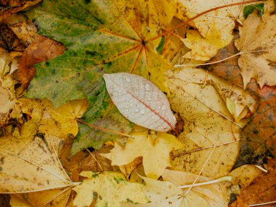vallende balderen sfeerbeeld