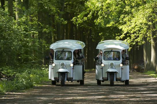 2 elektronische tuktuks omgeven door de natuur