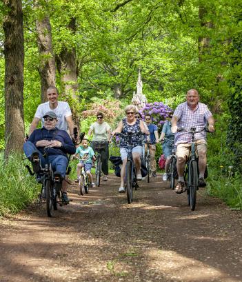 Senioren die fietsen door een bos.